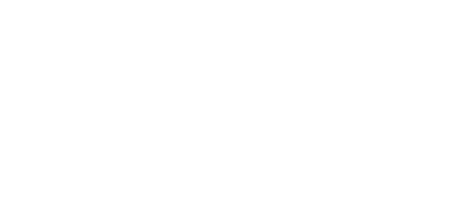ELIXIR-NL logo